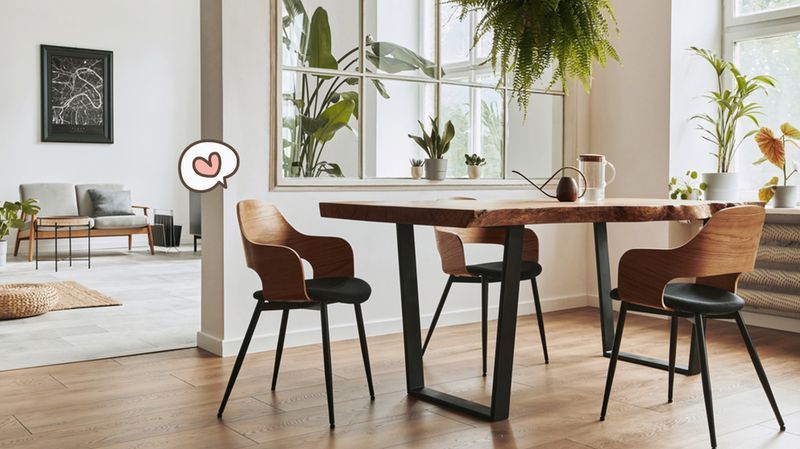 Tips Membeli Furniture Baru beserta Bonus Tips Perawatan Furniture Kayu